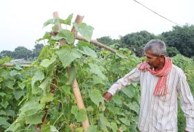 चौसट्ठी वर्षमा पनि जाँगरिला ‘युक्ति’